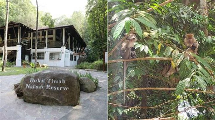 
Bukit Timah Murder: Who Was Ethan Yap? Twins Murdered In Playground, Father Finally Arrested 