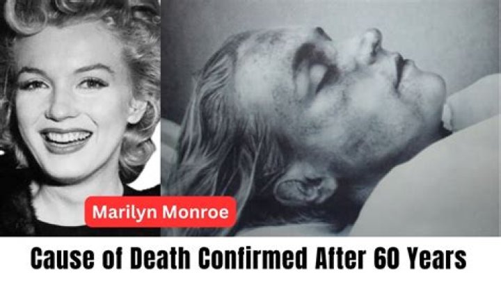 
Paige Heard Death – What Was The Cause Of Her Death? 