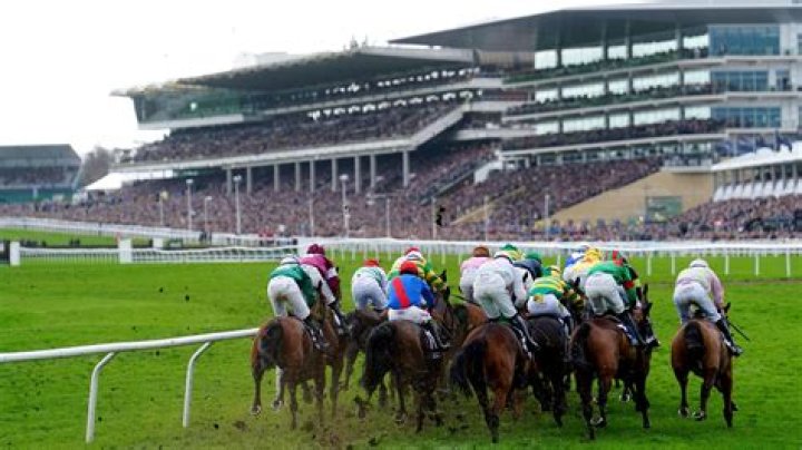 
What Happened To Ginto Horse? Cheltenham Death As Fans Are Mourning 